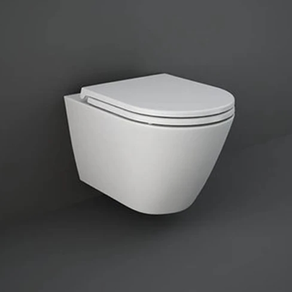 Rak Ceramic Feeling Wall Hung Water Closet in Dubai